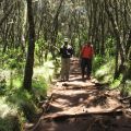 KILIMANJARO 2009