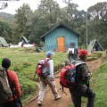 KILIMANJARO - 5.895 m 